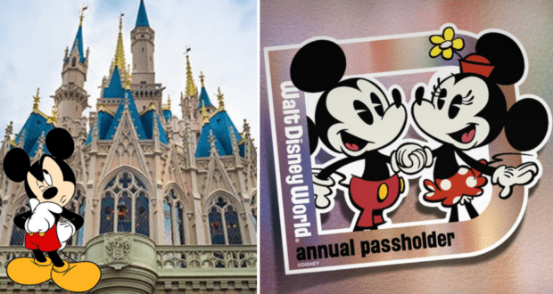 WDW Annual Passes