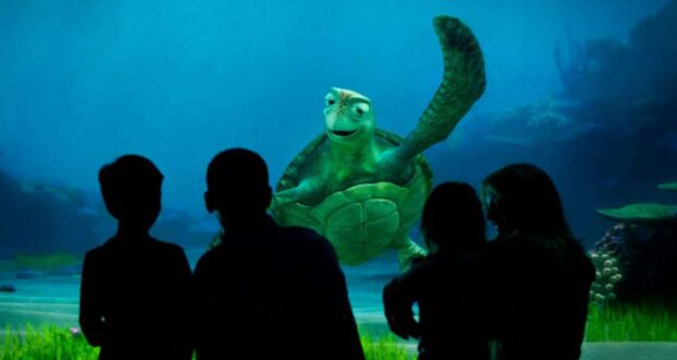 Turtle Talk with Crush