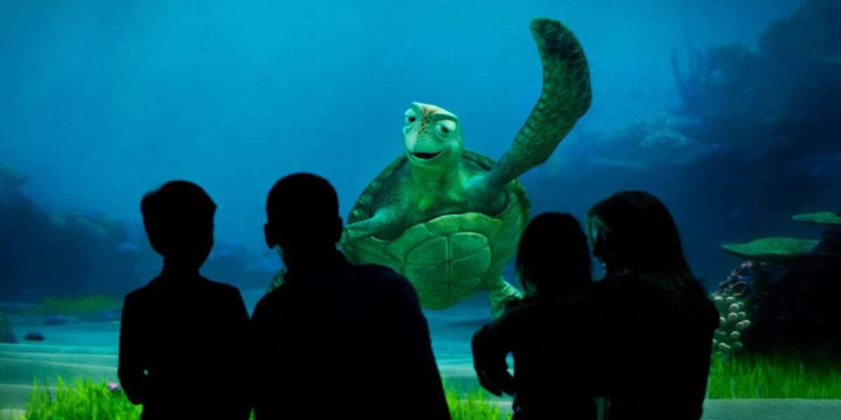 Turtle Talk with Crush