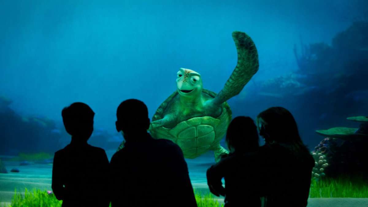 Turtle Talk with Crush
