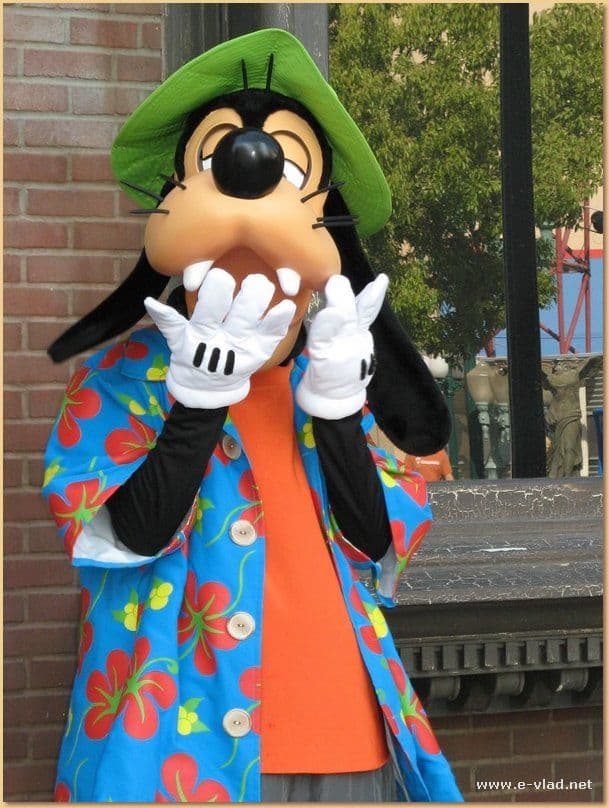 Goofy DCA