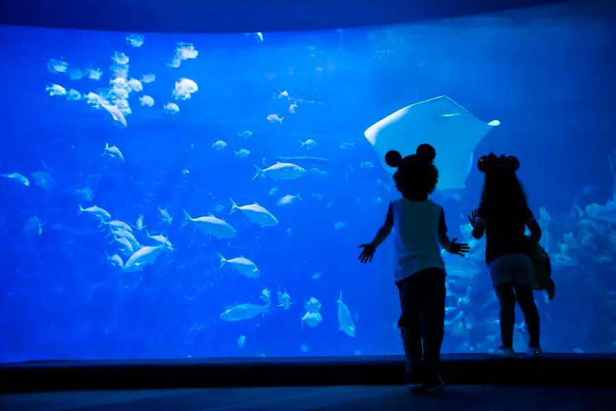 The Seas With Nemo & Friends
