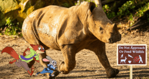 Animal Kingdom
