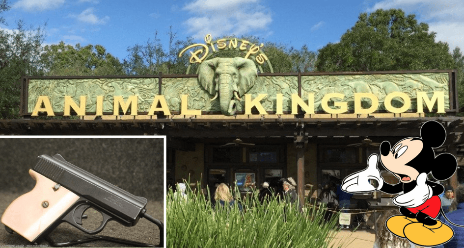 Animal Kingdom Gun