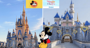 Annual Passes