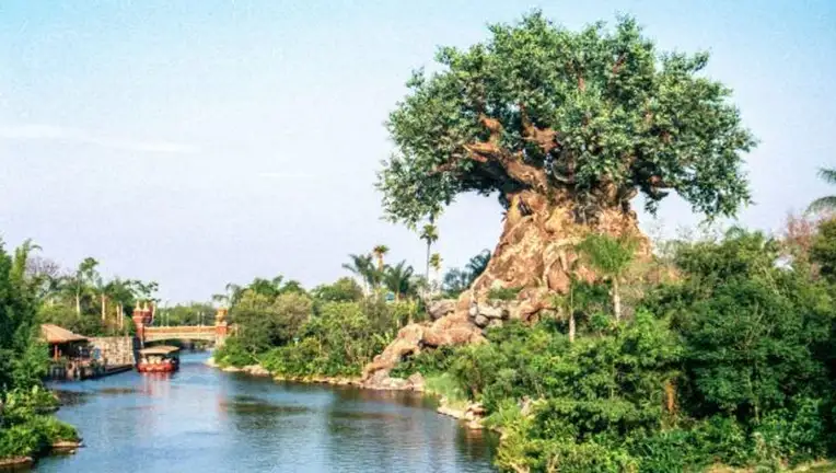 Disney's Animal Kingdom
