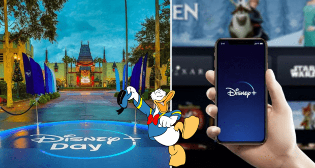 Split image: Disneyland festivities on the left, Disney+ streaming interface on a smartphone to the right, with Donald Duck animated at the center bottom—highlighting the excitement of Disney+ Day.