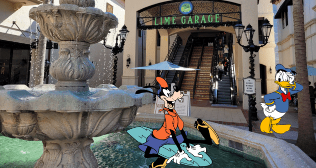 Disney Springs Incident