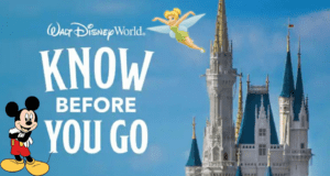 Disney World Park Pass