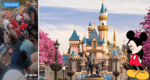 Disneyland Fight