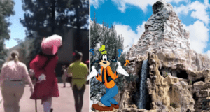 Disneyland Park
