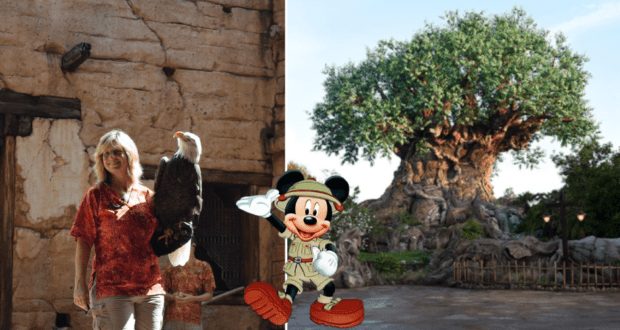 At Disney’s Animal Kingdom, a trainer showcases a majestic bald eagle during the Feathered Friends in Flight show, while Mickey Mouse greets guests near the iconic Tree of Life adorned with intricate animal carvings.