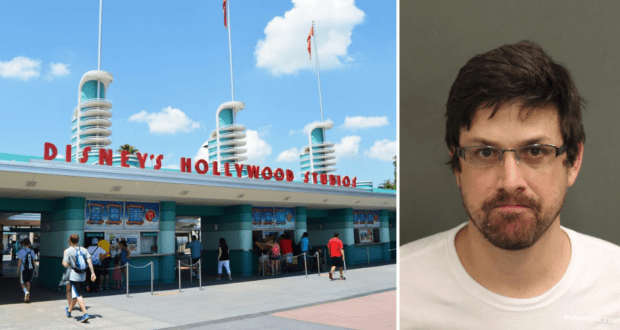 Disney’s Hollywood Studios entrance on the left; mugshot of a bearded, glasses-wearing Florida man who was recently arrested on the right.