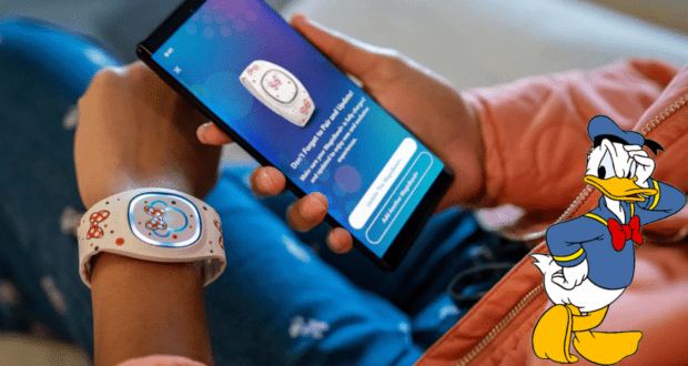 MagicBand+