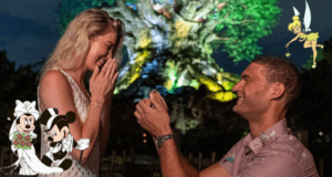 Proposal Animal Kingdom