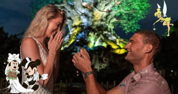 Proposal Animal Kingdom