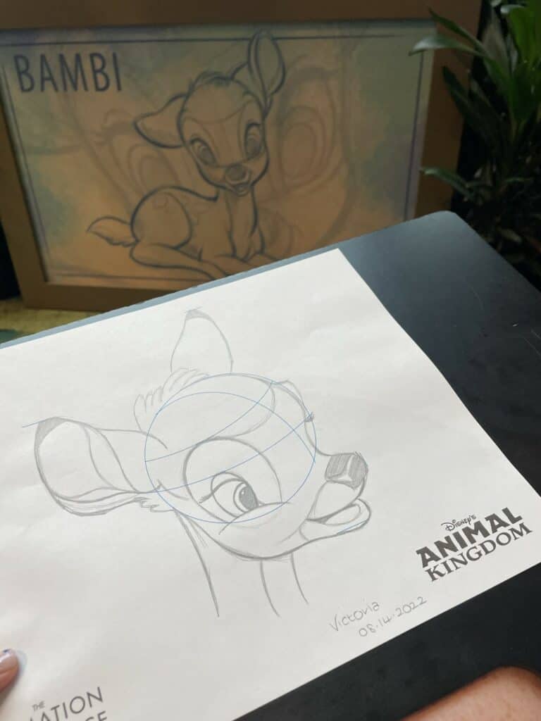 the-animation-experience