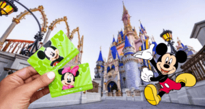 ticket-mickey-disney