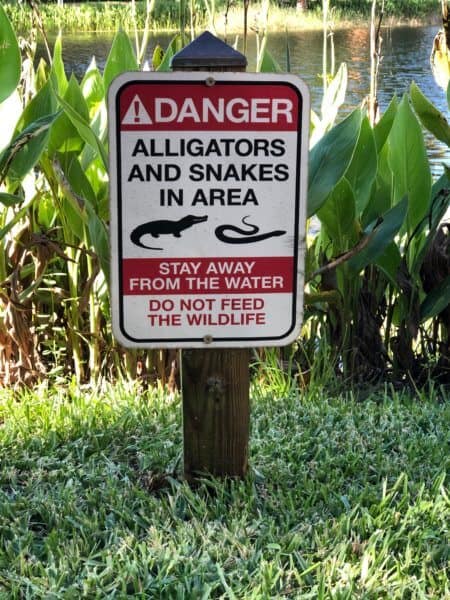 Disney's Animal Kingdom Danger Signs