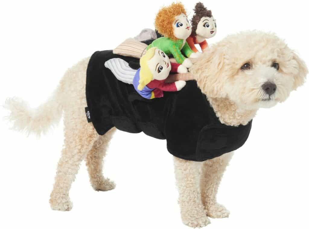 This adorable pup, decked out in a black costume with three vibrant Hocus Pocus plush dolls perched on its back, brings magical movie moments to life—perfect for fans looking to add a touch of Disney enchantment to their pet gear collection.