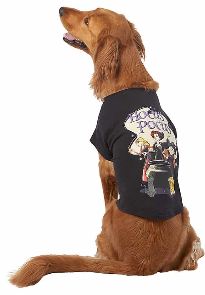 A golden retriever sporting a magical "Hocus Pocus" shirt featuring the iconic witches and their bubbling cauldron, ready for a spooktacular day at your favorite Halloween-themed park or Hocus Pocus fan event.