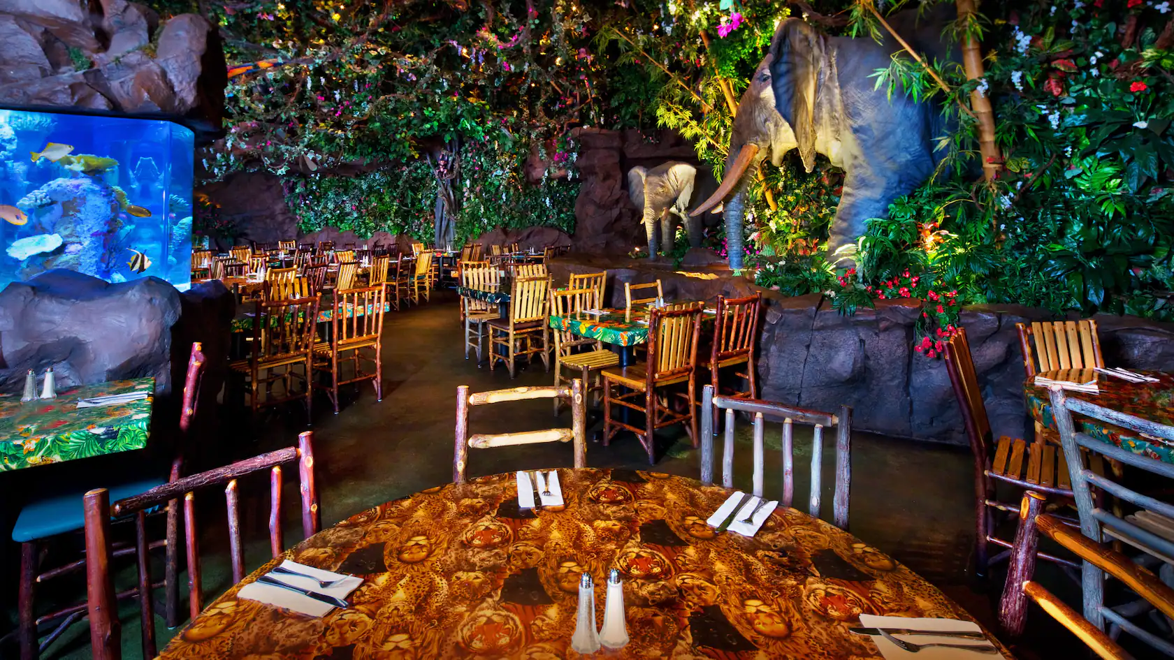 Rainforest Cafe Disney's Animal Kingdom