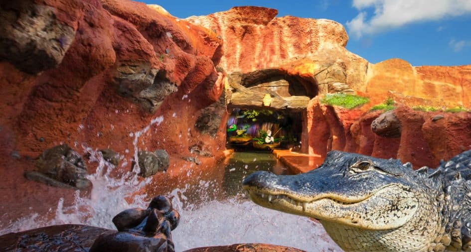 splash-mountain-alligator