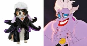 ursula-dog-costume