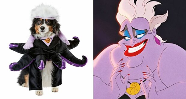 ursula-dog-costume