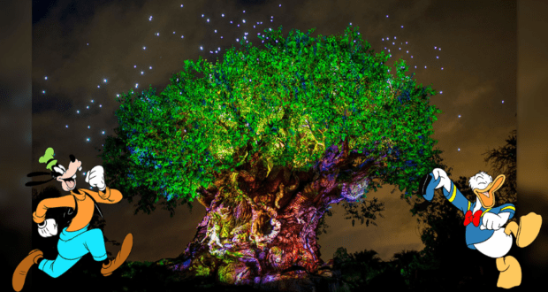 Goofy and Donald Duck pose together beside the dazzling Tree of Life Awakenings at Disney’s Animal Kingdom, illuminated with vibrant colors and sparkling lights against the nighttime sky.