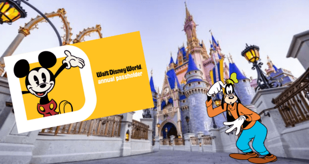 Mickey Mouse and Goofy strike a fun pose in front of Cinderella Castle at Disney World, holding up a big card in honor of Disney Annual Passholders.