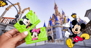 A hand displays Disney cards in front of Cinderella Castle, while Mickey Mouse smiles from the right side of the image, evoking the excitement and magical atmosphere of a Typhoon Lagoon job fair at Disney World.
