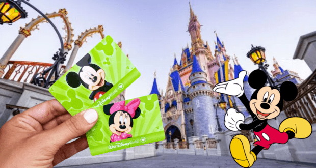 A hand displays Disney cards in front of Cinderella Castle, while Mickey Mouse smiles from the right side of the image, evoking the excitement and magical atmosphere of a Typhoon Lagoon job fair at Disney World.