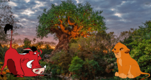 Timon and Simba pose in front of the iconic tree as the sun sets, surrounded by vibrant greenery, embodying the magical atmosphere of Disney KiteTails at Disney’s Animal Kingdom.