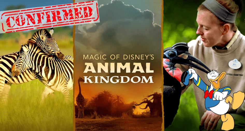 Zebras roam alongside the iconic Disney’s Animal Kingdom logo, while a friendly Animal Kingdom Cast Member interacts with an ostrich. Donald Duck joins the scene, and a bold red "CONFIRMED" stamp highlights the excitement—capturing all the wonder and adventure park fans love about Disney’s Animal Kingdom.