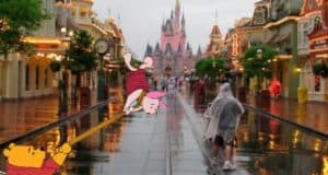 rain-disney-world-piglet-pooh