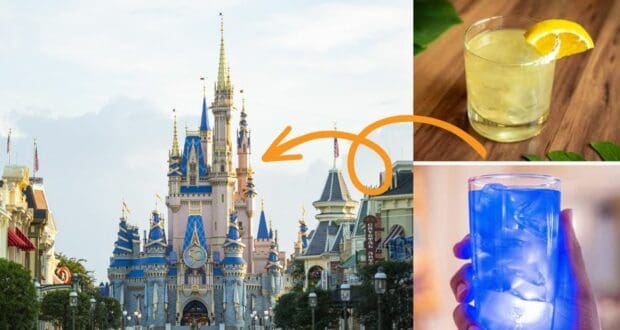 alcohol-at-magic-kingdom