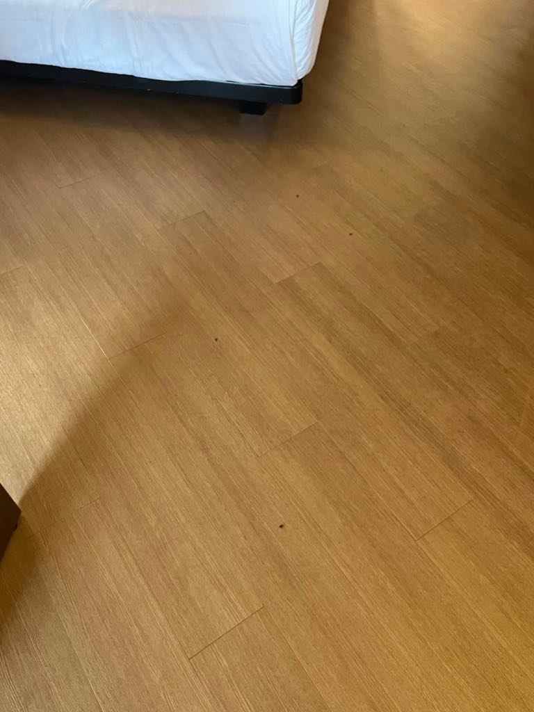 bug-infested-all-stars-room