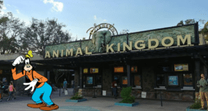 Goofy greets visitors in front of the grand entrance sign at Disney's Animal Kingdom, while a guest nearby adds a playful twist by pretending to be homeless.