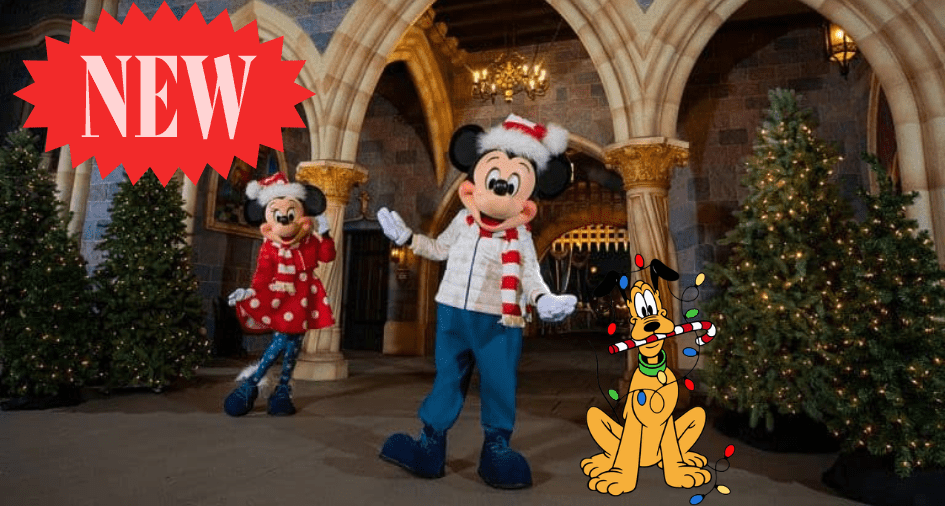 Mickey and Minnie Holiday