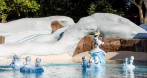 Frozen Blizzard Beach