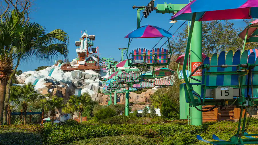 Disney's Blizzard Beach Water Park
