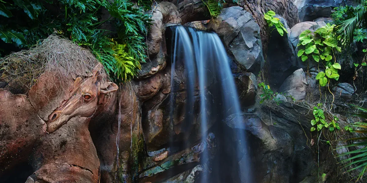 animal kingdom