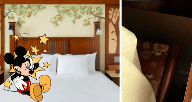 clipart of a bewildered mickey over the image of a hotel room, next to a picture of mold in a disney hotel room