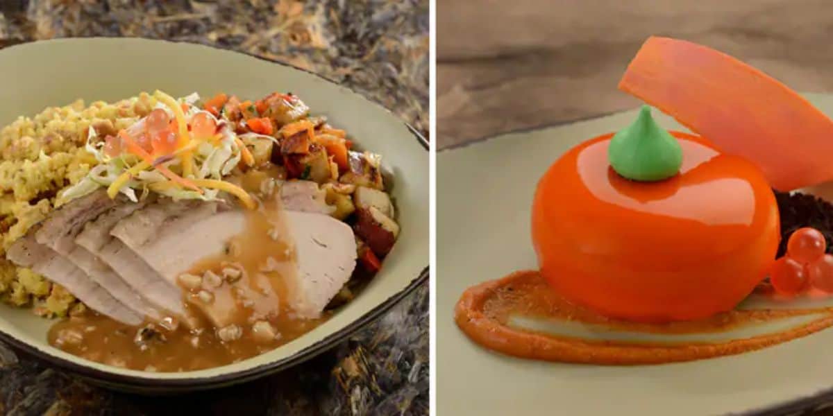 Left: A plate with sliced roast turkey, stuffing, and vegetables topped with gravy—a feast fit for the animal kingdom's own Thanksgiving. Right: A vibrant orange dessert with a glossy finish, accompanied by a carrot-like garnish and a green accent. Both are elegantly presented in bowls.