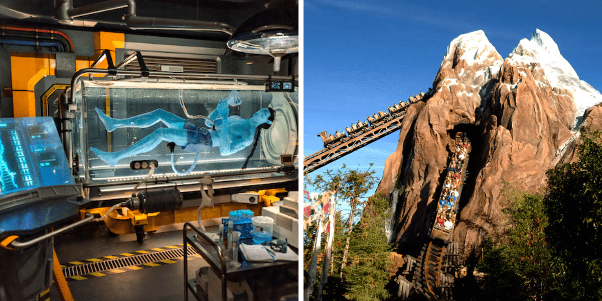 animal-kingdom-top-attractions