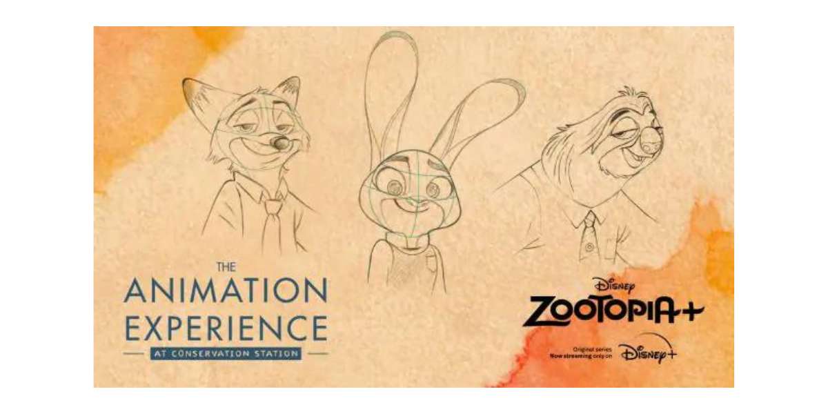 Animation Experience