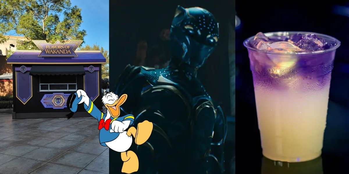 Wakanda Forever Fare