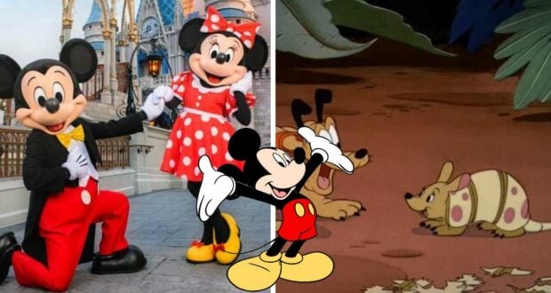 Mickey and Minnie greet guests in front of the iconic Disney World castle, while Pluto and an armadillo add to the magic in a whimsical animated forest setting.