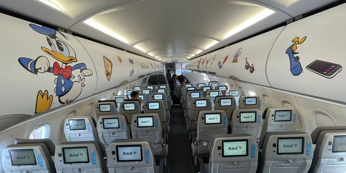 donald duck plane